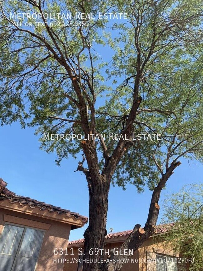 6311 S 69th Glen in Phoenix, AZ - Building Photo - Building Photo