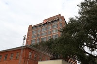 Telfair