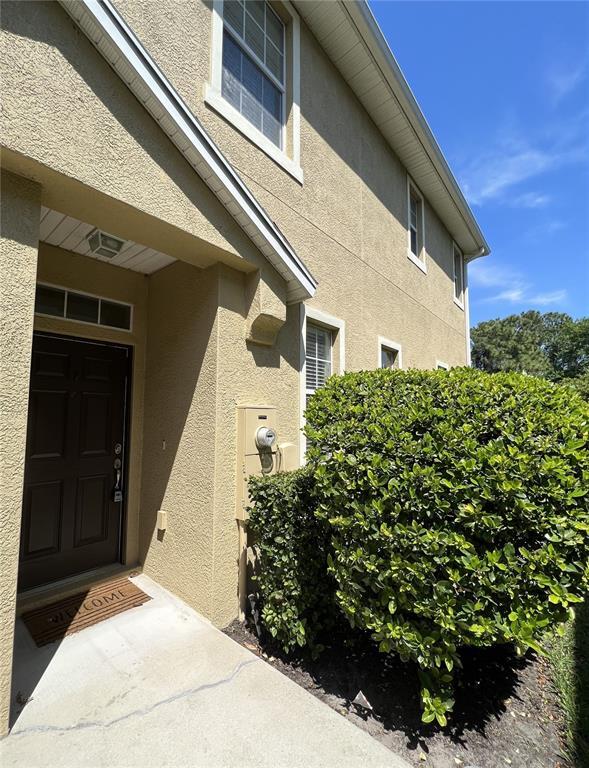 8922 Moonlit Meadows Loop in Riverview, FL - Building Photo - Building Photo