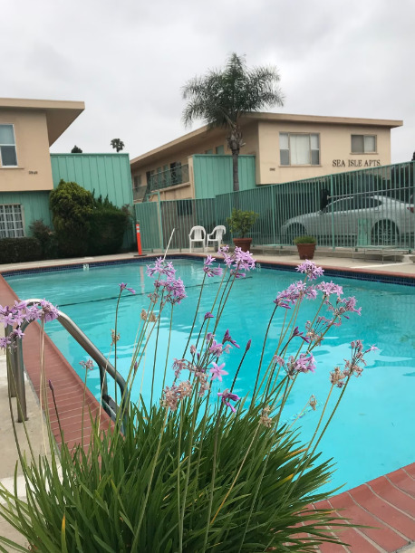 Sea Isle Apartments in Culver City, CA - Building Photo