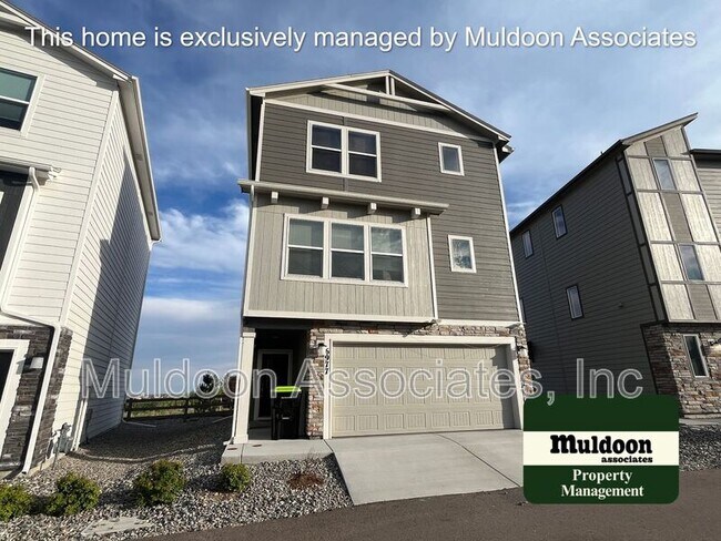6977 Tacarcuna Wood Grv in Colorado Springs, CO - Building Photo - Building Photo