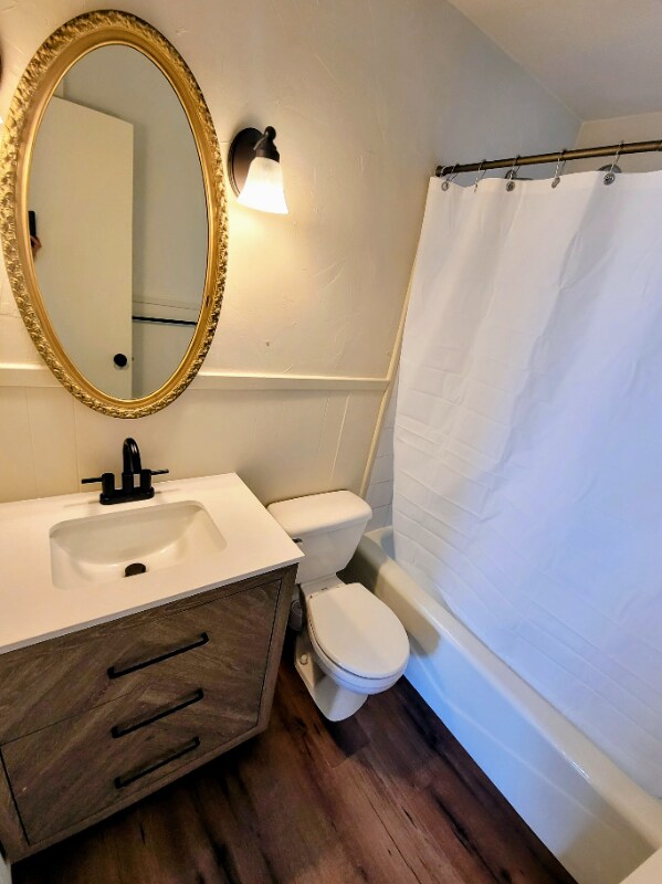 390 6th St in Fairplay, CO - Building Photo - Building Photo