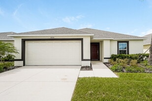 10221 Carp Holw Rd in Sun City Center, FL - Building Photo