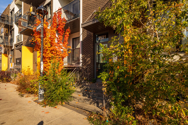 3511-3581 Saint-Dominique Rue in Montréal, QC - Building Photo - Building Photo