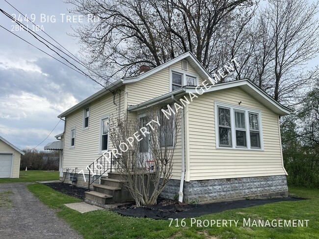 property at 3449 Big Tree Rd