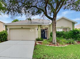6019 Blue Sage Dr in Land O Lakes, FL - Building Photo