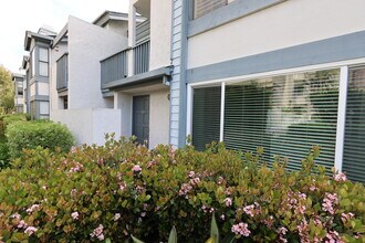 4034 Nobel Dr, Unit 105 in San Diego, CA - Building Photo - Building Photo