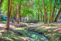 MAA Shoal Creek photo'