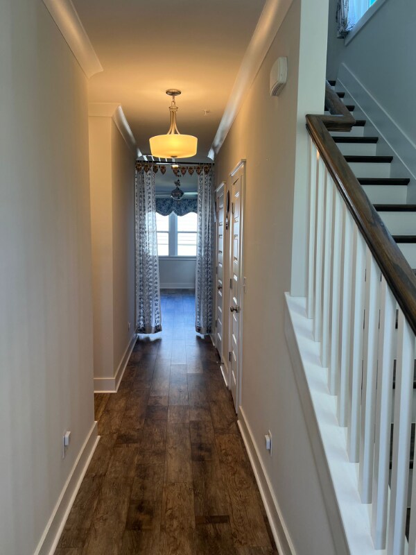386 Hammock Ln in Spring Hill, TN - Building Photo - Building Photo