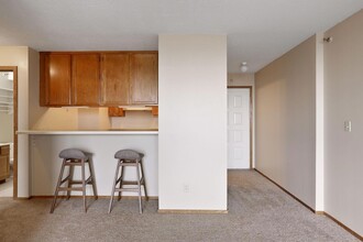 433 S 7th St, Unit 4-417 in Minneapolis, MN - Building Photo - Building Photo