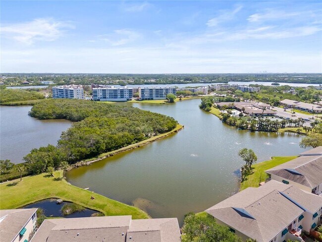 10032 65th Ave N in St. Petersburg, FL - Building Photo - Building Photo