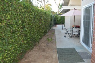18722 Paseo Picasso in Irvine, CA - Building Photo - Building Photo