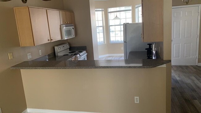 1142 S Beach Cir in Kissimmee, FL - Building Photo - Building Photo