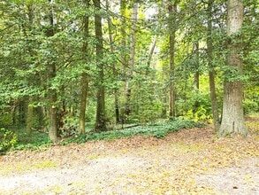 7535 Carmen Ct in Parsonsburg, MD - Building Photo - Building Photo