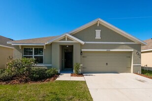 10006 Warm Stone St in Thonotosassa, FL - Building Photo