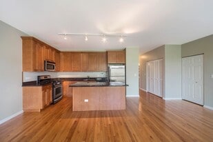 1451 S Halsted St, Unit 1451 in Chicago, IL - Building Photo