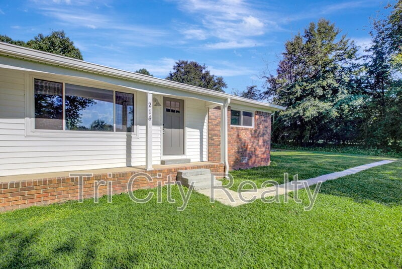 214 Brooks Rd in Brooks, GA - Building Photo