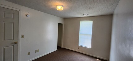 521 S State St, Unit 521 S. State Street- Apt #B in Big Rapids, MI - Building Photo - Building Photo