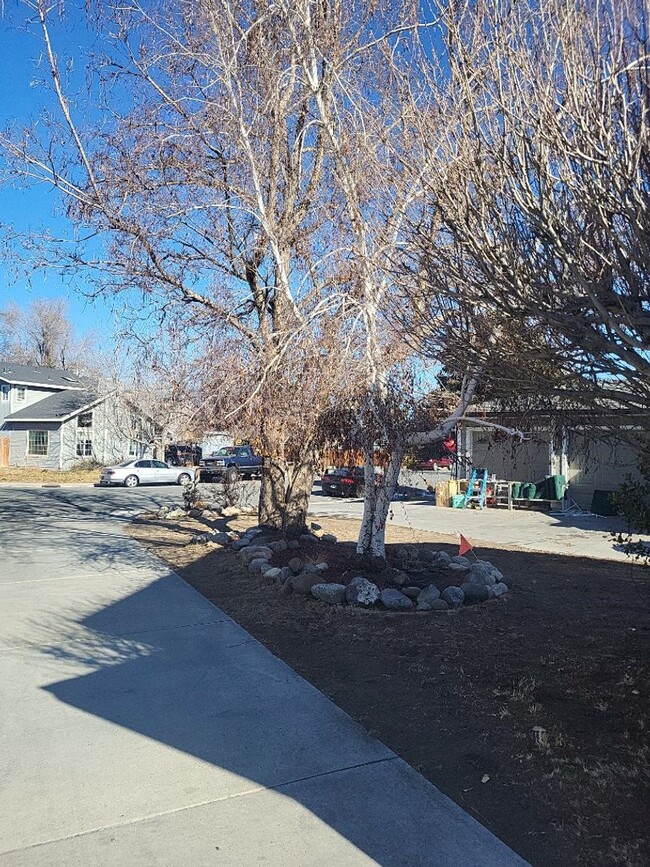 1233 Ian Ct in Sparks, NV - Building Photo - Building Photo