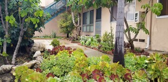 351 Riverdale Dr in Glendale, CA - Building Photo