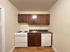 1337 N Dearborn St, Unit J08W in Chicago, IL - Building Photo - Building Photo