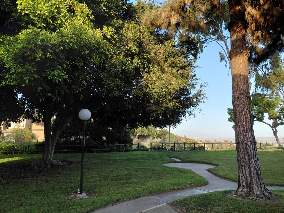 1595 Mendocino Dr in Chula Vista, CA - Building Photo
