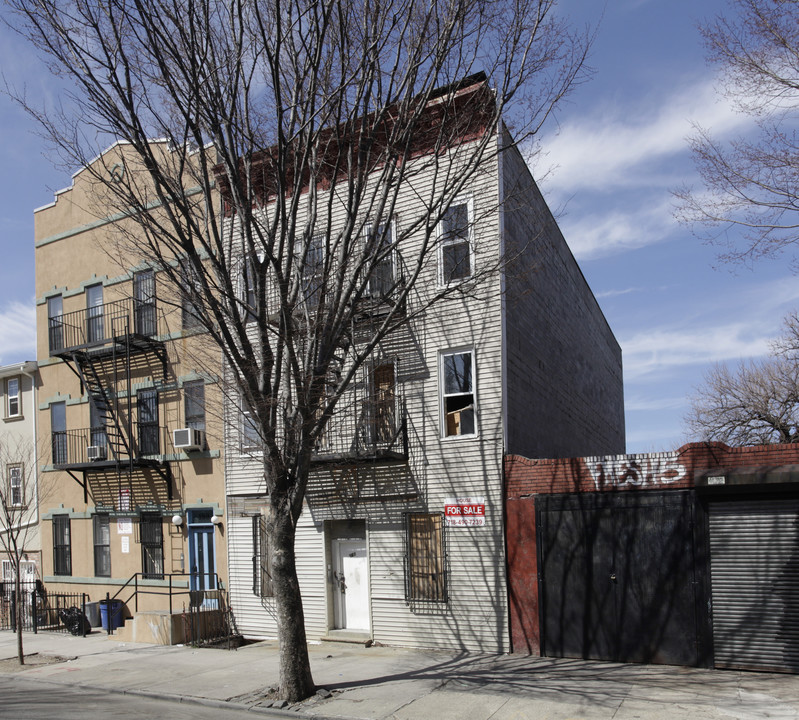 161 Macdougal St in Brooklyn, NY - Building Photo