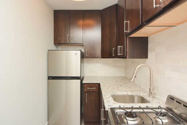 450 W Barry, Unit 514 in Chicago, IL - Building Photo - Building Photo