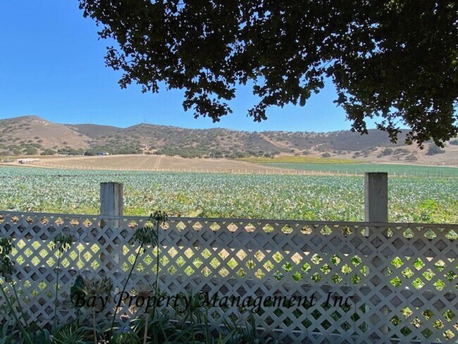 23806 Jacks Rd in Chualar, CA - Building Photo - Building Photo