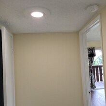 3841 Green Ave in Los Alamitos, CA - Building Photo - Building Photo