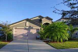 11808 Thicket Wood Dr in Riverview, FL - Building Photo