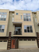 529 Steel Gardens Blvd in Charlotte, NC - Building Photo