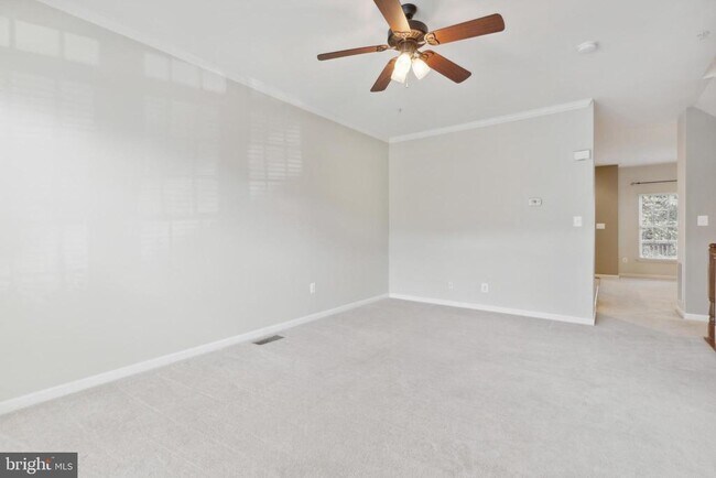 2482 Jostaberry Way in Odenton, MD - Building Photo - Building Photo