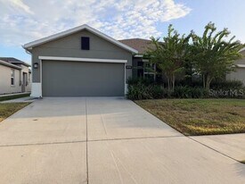 17737 Turning Leaf Cir in Land O Lakes, FL - Building Photo