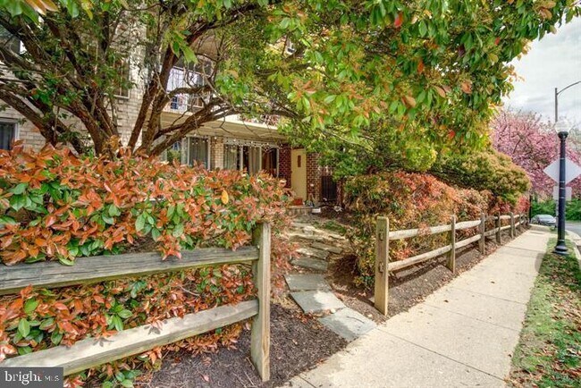 5009 7th Rd S-Unit -T1 in Arlington, VA - Building Photo - Building Photo