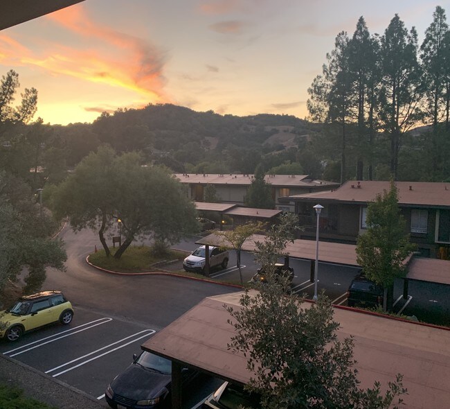 86 Forest Ln Rentals in San Rafael, CA