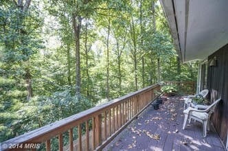 20 Crest Park Ct, Unit B in Silver Spring, MD - Building Photo - Building Photo