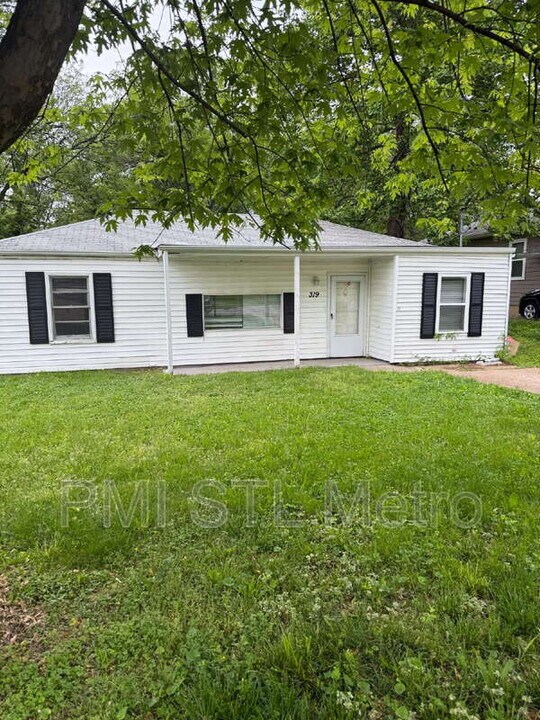 319 Reasor Dr in St. Louis, MO - Building Photo
