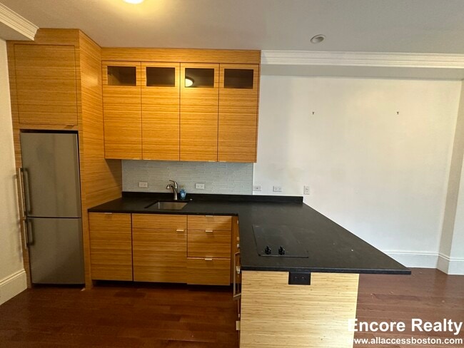 98 Myrtle St in Boston, MA - Building Photo - Building Photo