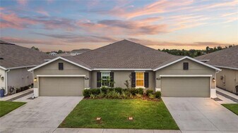 17993 Turning Leaf Cir in Land O Lakes, FL - Building Photo