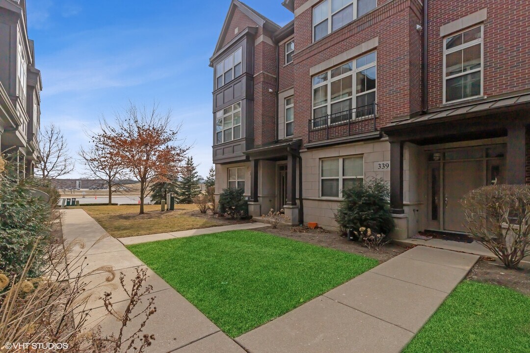 339 Alpine Springs Dr in Vernon Hills, IL - Building Photo
