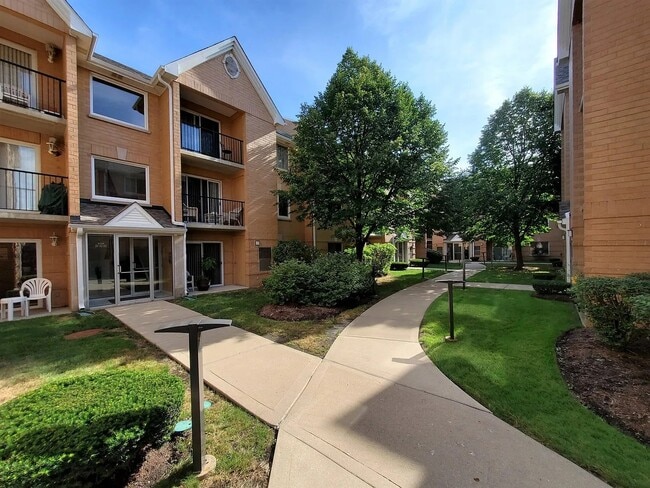 8700 W Evelyn Ln, Unit 301 in Chicago, IL - Building Photo - Building Photo