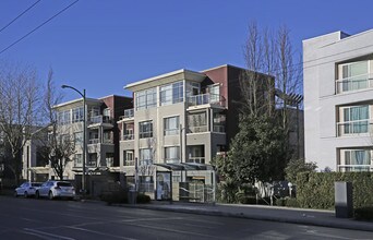 Point Grey Manor in Vancouver, BC - Building Photo - Building Photo