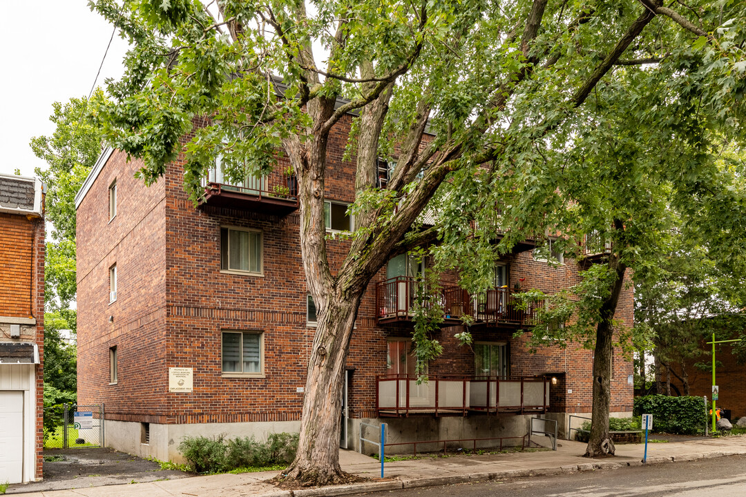 1845-1855 Alexandre-Desève Rue in Montréal, QC - Building Photo