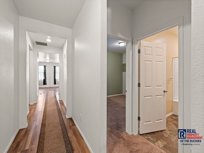 918 Birchdale Ct in Windsor, CO - Building Photo - Building Photo