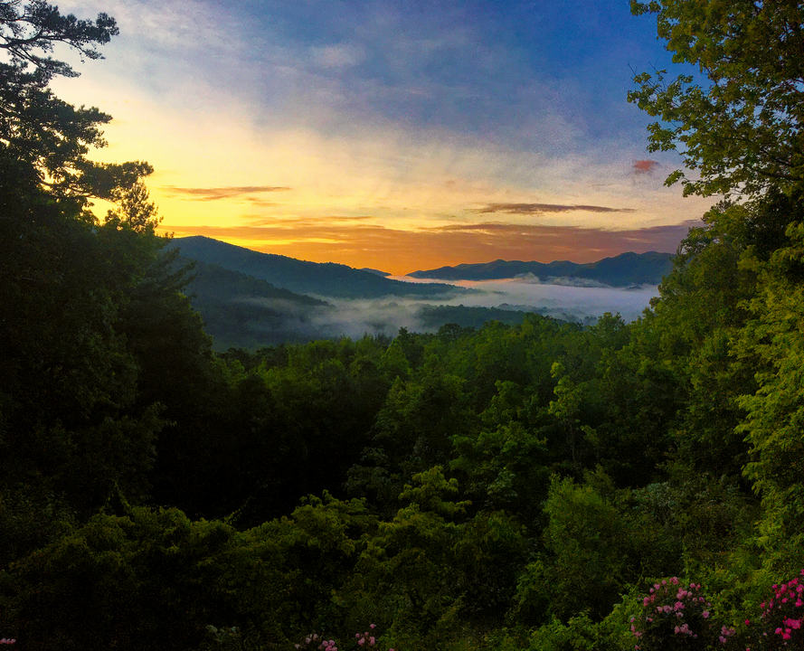 37 Mountain View Ave, Unit Upstairs in Black Mountain, NC - Foto de edificio