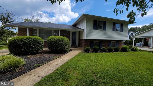 11703 Tifton Dr in Potomac, MD - Building Photo - Building Photo