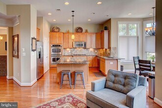 43577 Purple Aster Terrace in Leesburg, VA - Building Photo - Building Photo