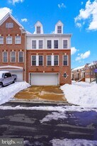 20863 Cosworth Terrace in Cascades, VA - Building Photo