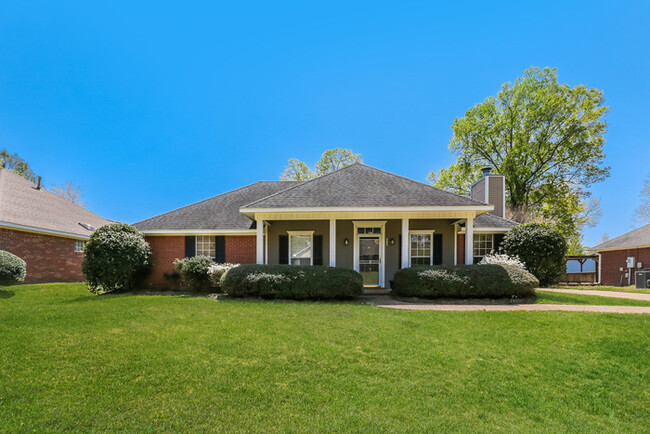 property at 205 Chestnut Dr